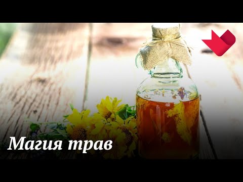 Магия трав | Раскрывая мистические тайны