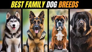 20 BEST Dog Breeds for FAMILIES: A Comprehensive GUIDE