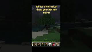 wow! justexploring&amp;enjoyingquest for spruce #Minecraft#memes#music#trending#ticktock#l#trending#game