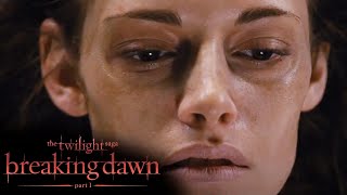 'Edward Tries To Save Bella' Scene | Twilight: Breaking Dawn Part 1 (2011)