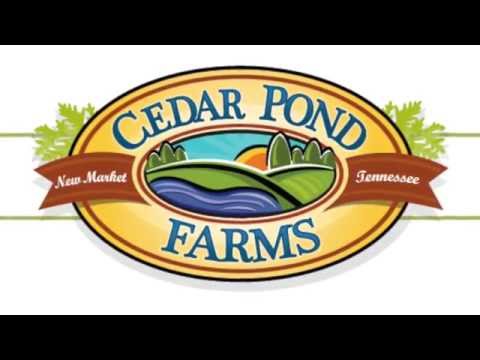 Cedar Pond Farms - New Market, Tennessee #3
