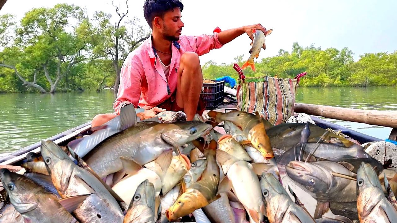 বড়শিতে আজ মাছের ছড়াছড়ি, জায়গা নেই ব্যাগে😀 । Sundarban fishing 