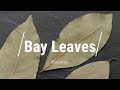 Do Bay Leaves Do Anything???? Yes!!! All About Bay Leaves - Glen And Friends Cooking