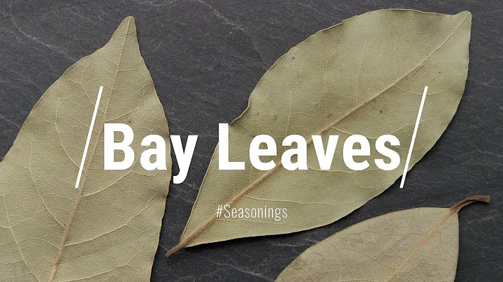 Do Bay Leaves Do Anything???? Yes!!! All About Bay...