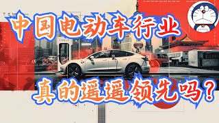 方脸说：中国电动车到底是个什么水平？真的是遥遥领先吗？中国电动车行业或许和你想象的有所不同！中国电动车的困境丨小米SU7丨比亚迪