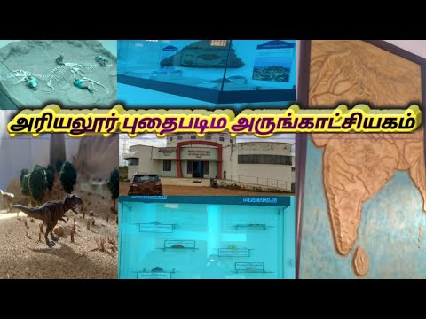 அரியலூர் புதைபடிவ அருங்காட்சியகம்