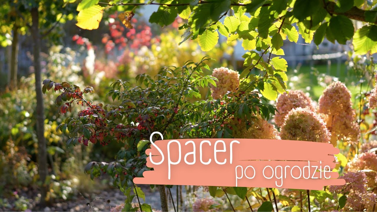 Październikowy spacer po ogrodzie 🍂🍁