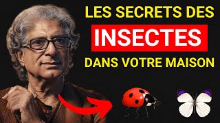 Saviez-vous que les INSECTES qui apparaissent dans votre maison ont une signification SPIRITUELLE?