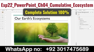 Exp22_PowerPoint_Ch04_Cumulative_Ecosystem | Exp22 PowerPoint Chapter 4 #exp22 #CumulativeEcosystem