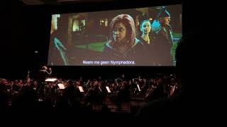 Harry Potter and the Order of the Phoenix in concert - Flight Of The Order Of The Phoenix