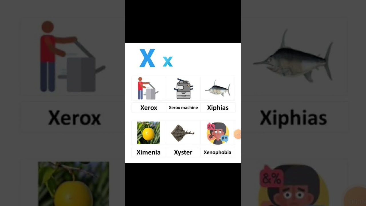 Words from X with pictures 