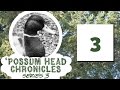 Possum head chronicles series 03 episode 03