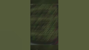CSS music player UI #html #css #shorts