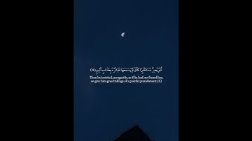 #yasser_aldosary - Quran Kareem ياسر الدوسري - القران الكريم  #capcut #حالات_واتس #fyp #quran