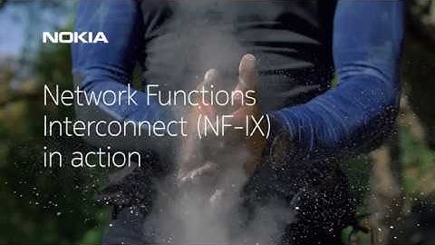 Network Functions Interconnect (NF-IX) in action (extended version)