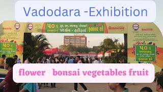 50 Flower & vegetables & Bonsai show - vadodara || 2023 || flower exhibition by All Most Everything 282 views 1 year ago 7 minutes, 57 seconds