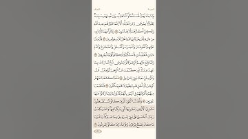 صفحة ( 166 ) #سورة_الأعراف مكتوبة مكررة بصوت #سعد_الغامدي #الجزء_التاسع #قرآن #تلاوات #quranic
