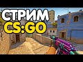 День Рождения =) Наводим суету на фейсите =) Розыгрыши. Стрим CSGO