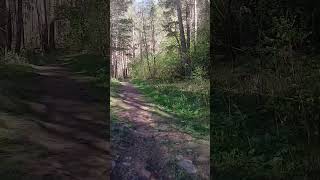 Экотропа Поляна Нарзанов  - Тегенекли 7.