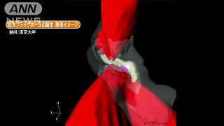 東大教授らがブラックホールの起源を解明　世界初(17/09/29)