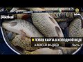 Ловля карпа в холодной воде. Алексей Фадеев.  Часть 2. Anglers Practical