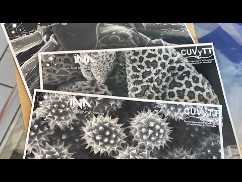 Video: ¿La nanotecnología es dañina?
