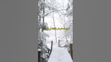 سورة الكهف وفضل قرائتها يوم الجمعة #facebook #instagram #tiktok #اكسبلور #المصحف