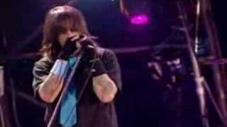 Red Hot Chili Peppers - Snow (Hey Oh) Live
