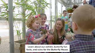 Secret Life of Butterflies: What to Expect When You Visit