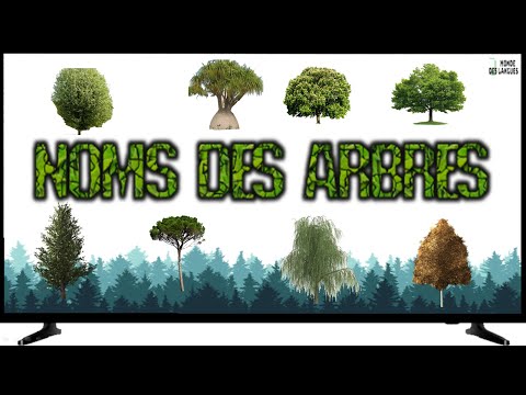 Vidéo: Quel est le nom scientifique des arbres ?