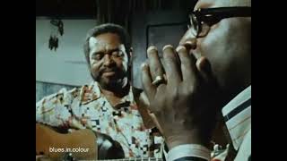 Sonny Terry & Brownie McGhee - live in 1972