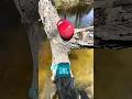 Dropping JBL from a Tree into Water 😱💦