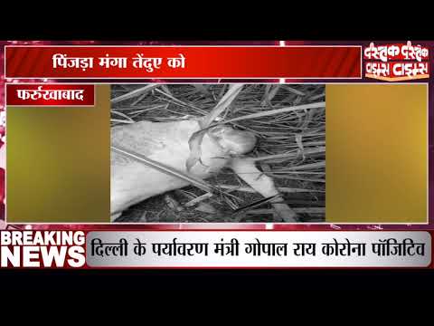 फर्रुखाबाद में तेंदुए से सहमे ग्रामीण लाठी बंदूक लेकर डटे