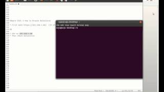 VMware ESXi 5 How to Browse datastores