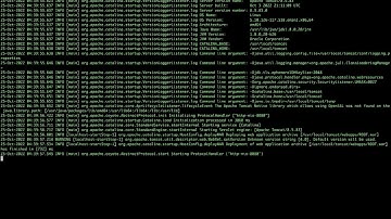 Log4j and Cloud security attack demo