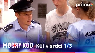 Modrý kód (3): Kůl v srdci – část 1/3