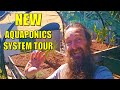 New aquaponics system tour components and issues