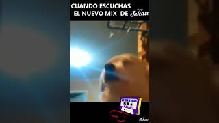 CUANDO EL DEEJAY TE SUELTA LAS PRECISAS !!  PERRO ESCUCHANDO ROCK DEL BUENO / MEME