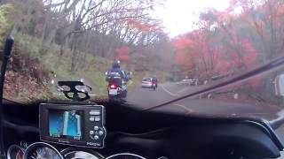 CLIP0017.MP4