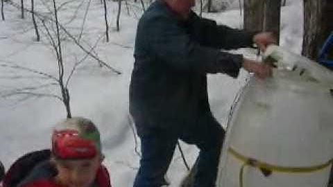 Maple Sappin the Old Fashioned Way