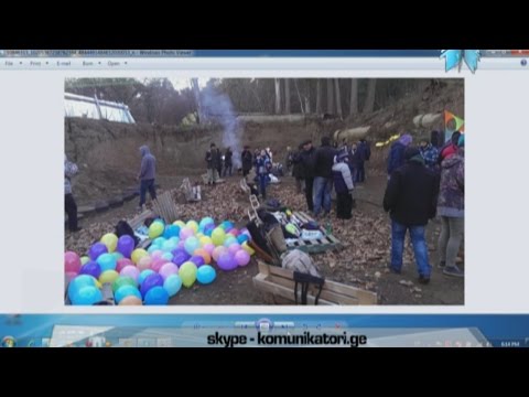 \"პანორამა თბილისი\"; კრეატიული ნაძვის ხეების აუქციონი