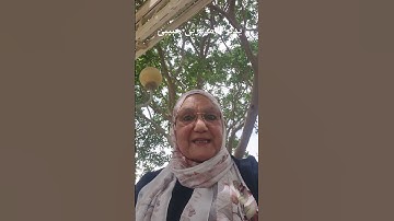 دروس وخبرات وعظات وعبرة سورة يوسف #دينيه