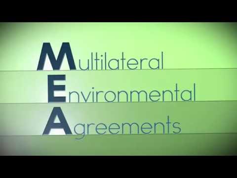 Videó: Mit jelent a többoldalú megállapodás?