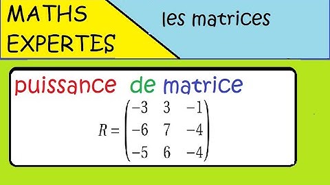 Terminale Maths Expertes- Les matrices - exercice : puissance d
