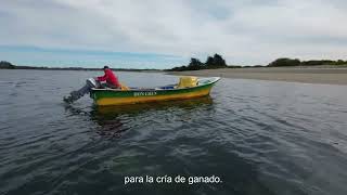 Isla Lacao