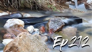 Fluid Bed Sluice Find so Much Gold!!!