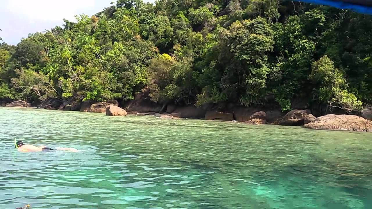 Pencarian Kumo di Pulau Emas Padang YouTube