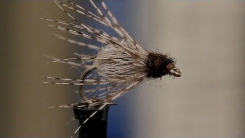 Caddis Emerger