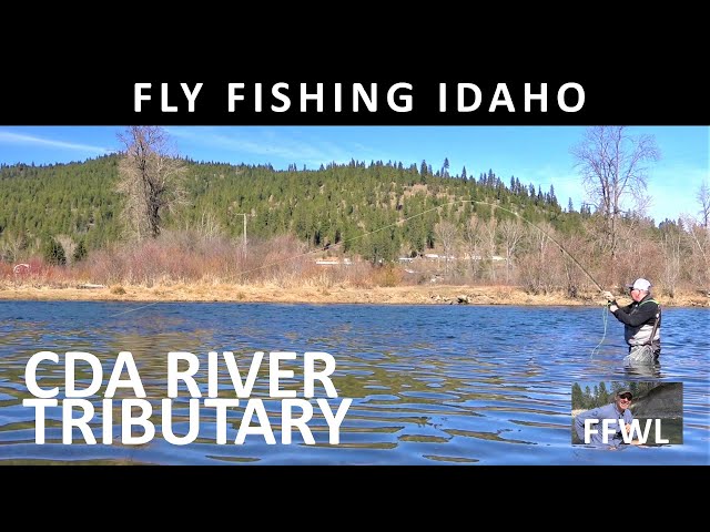 Fly Fishing Idaho's Coeur D Alene River Tributary in March-Trailer