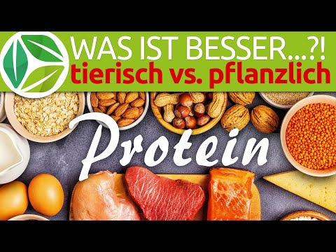 Tierisches vs Pflanzliches
